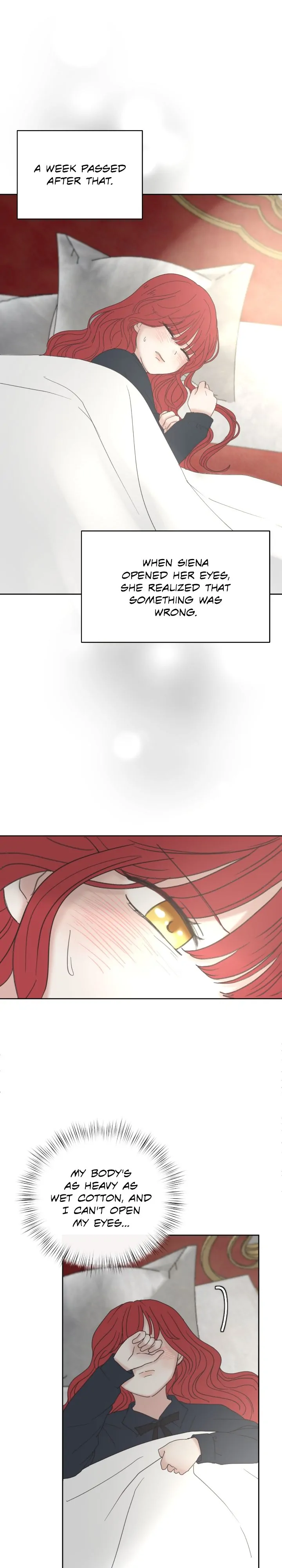 52823317 720 4000 107890