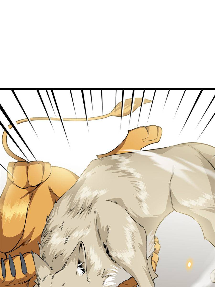 81490553 900 1200 88207