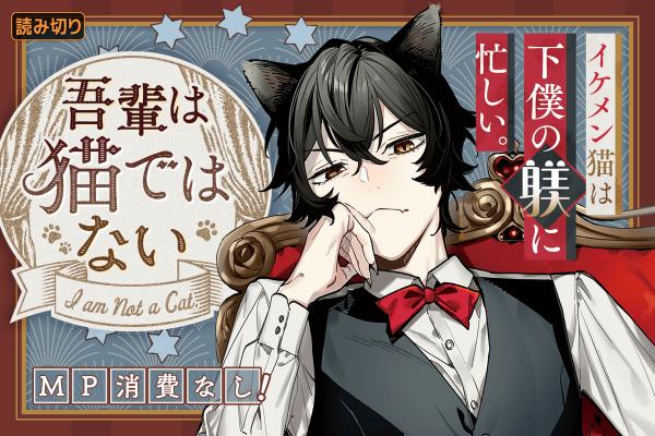 I'm Not a Cat I'm Not a Cat